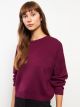 Crew Neck Regular Long Sleeve Women's Tricot Sweater