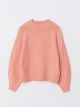 Turtle Neck Regular Long Sleeve Women's Tricot Sweater