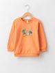 Crew Neck Long Sleeve Printed Baby Boy Sweatshirt