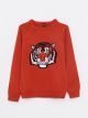 Crew Neck Patterned Long Sleeve Boy Tricot Sweater