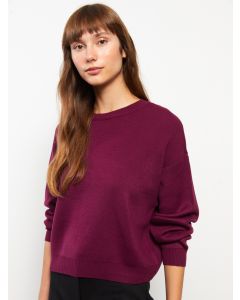 Crew Neck Regular Long Sleeve Women's Tricot Sweater